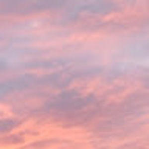 Meet your Posher, Tanya